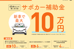 サポカー補助金