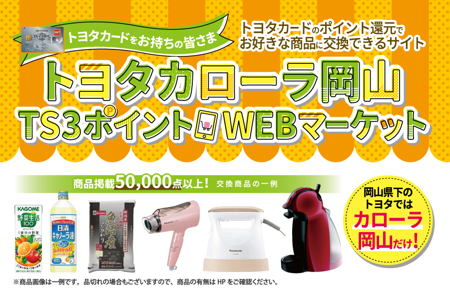 TSポイント